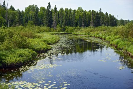 minnesota-long-term-care