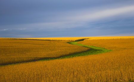 nebraska-long-term-care