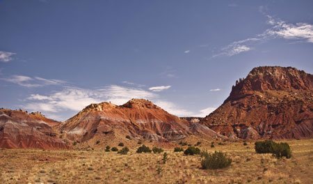 new-mexico-medicaid