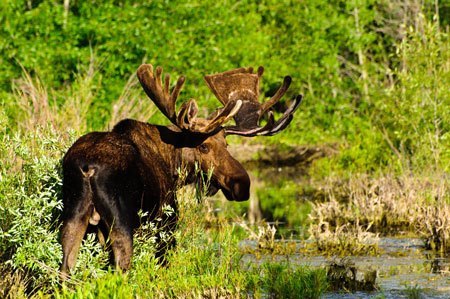 wyoming-long-term-care